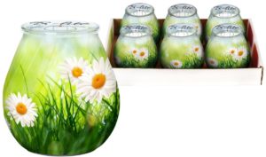 SVIJEĆA MIRISNA STAKL.DEZI IVANC.LEMONGR