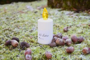 LED i Solarni lampioni